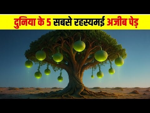दुनिया के 5 सबसे रहस्यमई अजीब पेड़ | 5 most mysterious and strange trees in the world, 😱 documentary