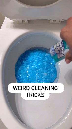 28K views · 500 reactions | These cleaning habits might seem strange at first but as a professional cleaner, I swear by them. From vacuuming in the dark to dusting toilets before spraying cleaner, these weird tricks actually make cleaning faster and easier. Have you tried any of these?#CleaningTips #ProCleaner #WeirdButWorks #HouseCleaningHacks #CleaningMotivation #HomeHacks #CleaningAdvice | Zapata’s Cleaning Services | Facebook