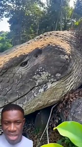 Accient anaconda😲😱 | Peculiar Nation
