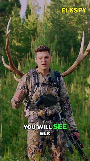 Find Elk With This Spot-and-Stalk Strategy #shorts