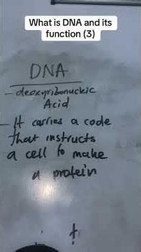 What does DNA stands for ?