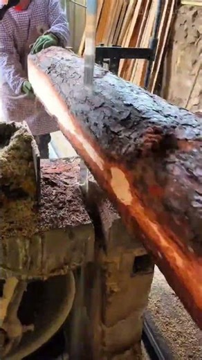 Cutting a large tree log into planks using a horizontal band saw machine to produce quality timber