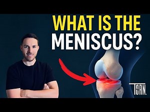 What is the Meniscus? Knee Anatomy, Function, Tears & Treatment Explained