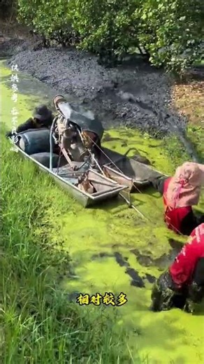 Revolutionary Soil Conservation: See How Workers Save the Grasslands