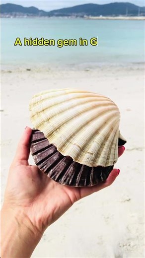 Hidden Seashell Beach in Vigo 🇪🇸 | Camino de Santiago Symbol #TravelShorts