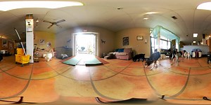 A minute with the Gardens Gang. It's afternoon and everyone is low energy. The humans are inside for a few minutes, so that's where the Old Friends want to be too :) Music by Bagel :) | Old Friends Senior Dog Sanctuary