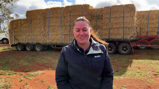 Huge hay convoy travels from Western Australia to South Australia to aid drought-stricken farmers