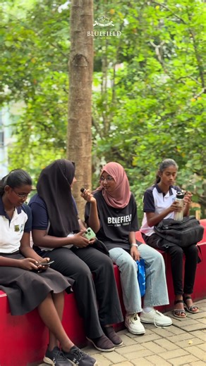 Discover Bluefield Tea: A Unique Beverage Experience