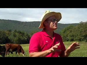 Polyface Farm - Salad Bar Beef - Part 1
