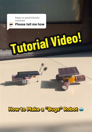 How to Make a Solar-Powered Bugs Robot