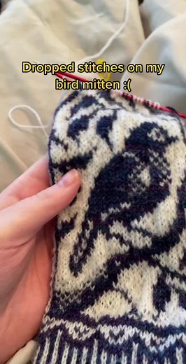 Fixing Dropped Stitches on Bird Mitten - Knitting Woes