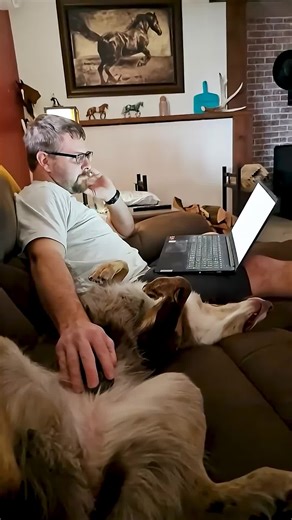 Man uses dog as computer mousepad 🤣