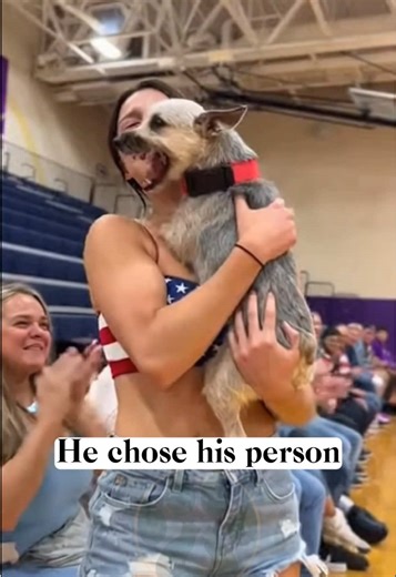 The Only Draft Pick That Matters 🇺🇸🥹 #eeuu #adoptdontshop #shelterdog #doglover #dogschoosehumans