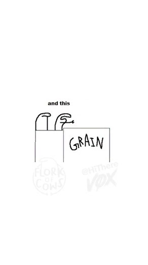Vox on Instagram: "the grains (comic by Flork of Cows)"