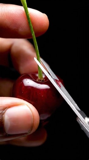 Ultra-Realistic Macro ASMR Cherry Stem Snip (Clean Cut Cinematic Close-Up)