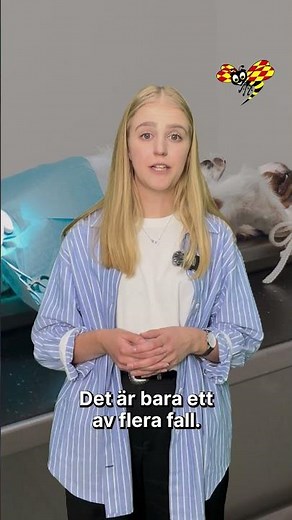 Veterinärer på Evidensia larmar: Djuren dör