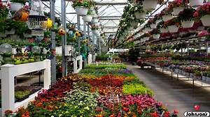 4K views · 102 reactions | Flying Around Johnson's Farm Produce Greenhouses & More Drone Footage Stunning Flowers 2021 https://johnsonsfarmproduce.com/ 8960 E Ridge Rd, Hobart, IN 46342 Full 4K Video: https://youtu.be/2bLy7vE184A www.timelessaerialphotography.com #greenhouse #spring #drone | Timeless Aerial Photography | Facebook