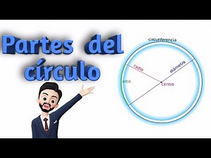 PARTES DEL CÍRCULO muy fácil CÍRCULO Y CIRCUNFERENCIA