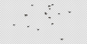 Fly Swarm - Flying Around - 4K