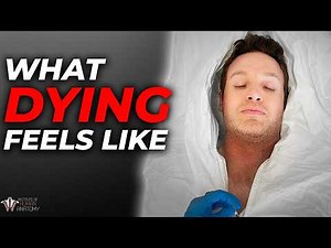 This is What Happens When You Die