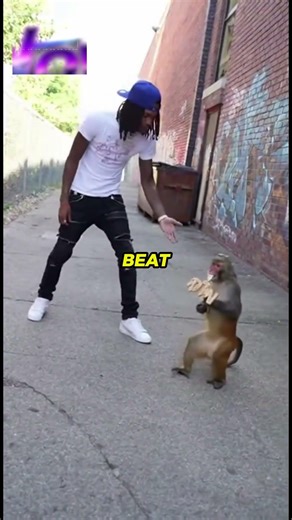 King Von vs NLE Choppa: Who’s Fast Enough to Escape the Cops? 👀 #rap #celebrity