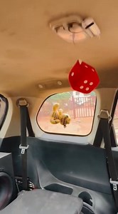 Ice Power Legendary Avenger Ip412 Subs In Action | ICE POWER