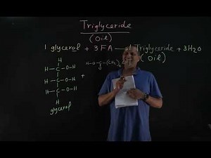 Biodiesel Part 2 : Formation of triglycerides