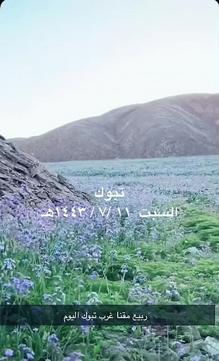 ⚡️ برق⚡️ على TikTok