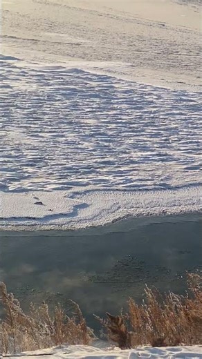 Selenga river is gradually covered with ice. The beginning of winter in Siberia. #buryatia #snow#ice