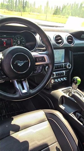 2021 Ford Mustang GT Premium