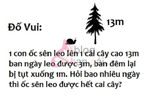 48 câu đố vui hại não cực hay
