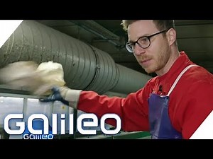 Selbstversuch: So läuft es in einer Müllsortieranlage | Galileo | ProSieben