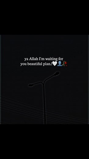 16K views · 498 reactions | ya Allah I'm waiting for you beautiful plan.!懶鹿 #fypreelsシ゚viralシ #foryoupagereels #foryouシpage | Flower Fashion | Facebook