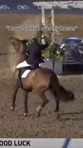 Stop horse abuse #abuse #stop #stophorseabuse #music #horse #ponymalta #equestrian #vent #controll