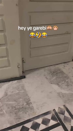 Understanding the Impact of Humor in Communication