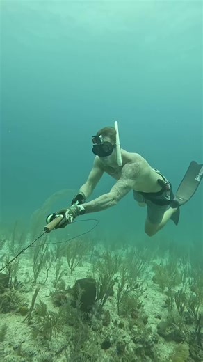 Free Diving Adventures for the Best Seafood in Miami