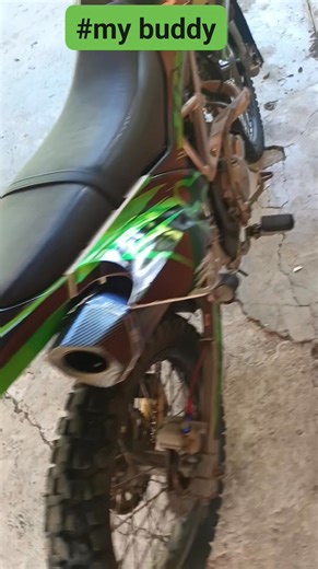 28 reactions · 4 comments | Sierra Fox on Reels | Facebook