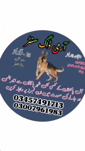 Army dog center multan