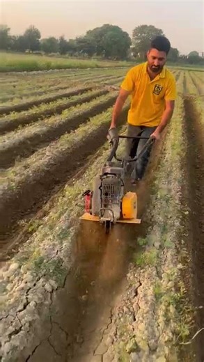 Power Weeder Hobby 450 Performance in vegetables field