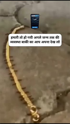 all type vedio on Instagram