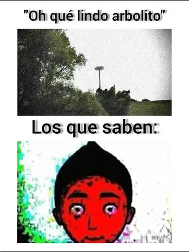 Lepidodendron: El árbol del Carbonífero