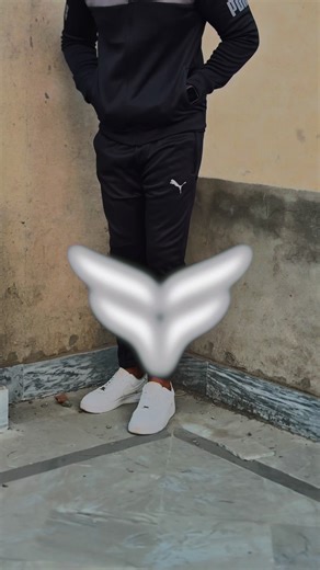 Fit flex official (@fit.flex.official)’s videos with original sound - Fit flex official