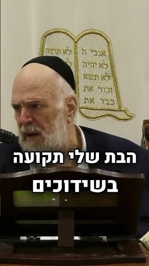 Why does everyone go to Meron on Lag BaOmer?! Rabbi Rosenblum in a special segment‼️