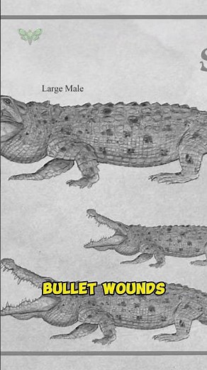The World’s Deadliest Man-Eater Still Alive? #Gustave #Shorts