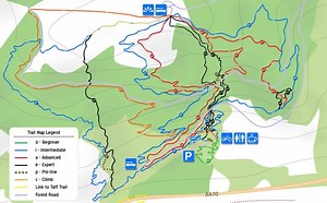 Our trail network has grown a lot since 2013! Question is, what trails should we build next? | BikePark Wales