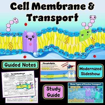 The Cell Membrane Structure & Cell Transport PowerPoint Slideshow