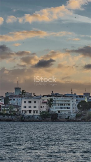 # Follow Chief Bakari_ The Heart of Changa 2024-05-20 #foryou #tree #inspiredawesomelife #followers @sand.tagious @r0dn3y_