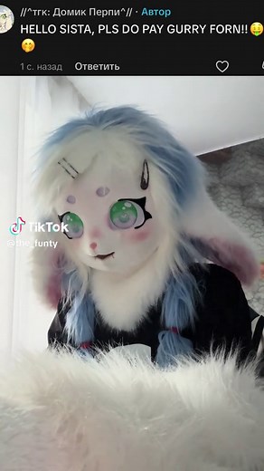 Exploring the Furry Fandom