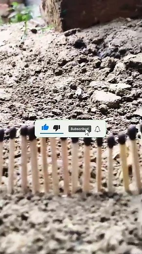 "Matchstick Magic 🔥 | Amazing Art with Matchsticks"