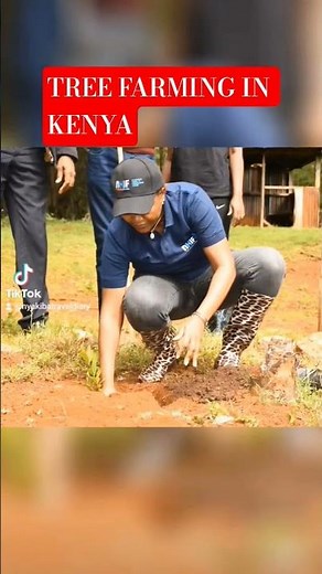 EUCALYPTUS TREE FARMING: THE SECRET TO MAKING HUGE PROFITS